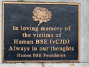 Human BSE (id=3799)